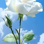 Eugenio Bernal - Facebook