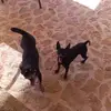Eugenio Crespo - @eugenio.crespo77 - TikTok