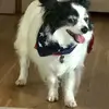 eugeniogreco319 - @eugeniogreco319 - TikTok