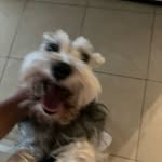 Eugenio Solís - @eugenio_solii - Instagram