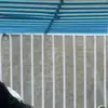 Trần Hồ Bảo Yến - @eulagreene - TikTok