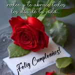 eulalia acevedo - @eulaliaacevedo12 - Instagram