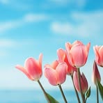 Eulalia Acevedo - Facebook
