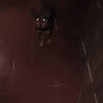 Eulalia Acevedo - @eulalia.acevedo - Instagram