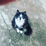 Eulália Cabral - @lalacabral53 - Instagram