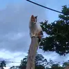 Eulalia💗 - @eulalia.cano1 - TikTok