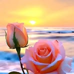 Eulalia Cano - Facebook