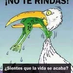 Eulalio Cortes - @eulalio.cortes.1 - Instagram