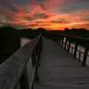 eulises_sanchez - @eulises_sanchez - TikTok
