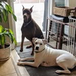 Eulogio Zarate - @zarateiv - Instagram