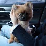 @eunhae.hong27 - Instagram