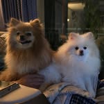 오은하 - @eunh.aoh - Instagram