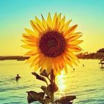 Eunice Becker - @eunicebecker220 - Instagram