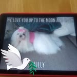 Eunice Bishop - @eunice.bishop.7 - Instagram