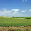 euniceboyd587 - @euniceboyd587 - TikTok