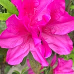 Eunice Bruce - Facebook