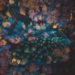 Eunice Buckridge - @eunicebuckridge4 - Instagram
