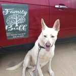 Eunice Buffington - @toby_thegentlegiant - Instagram