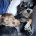Eunice Burr - Facebook