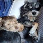Eunice Burr - @eunice.burr.5 - Instagram