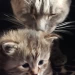 Eunice Burt - @eunice.burt.9 - Instagram