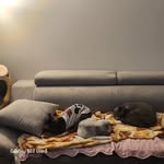 Eunice Eun Chun - @eu_sils2071 - Instagram