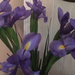 Eunice Crenshaw - Facebook