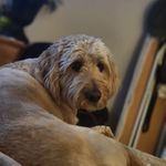 Eunice Daly - @mamasita22none01 - Instagram