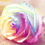 Eunice Derrick - Facebook
