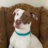 eunicedos - @eunicedos - TikTok