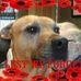 Eunice Dowling - Facebook