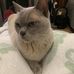 Eunice Drew - Facebook