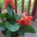 Eunice Dyer - Facebook