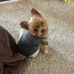 Eunice Eckert - Facebook