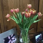 Eunice Escobar - @eunice.escobar.923 - Instagram