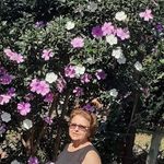 Eunice Fernandes - @eunice.fernandes.9699 - Instagram