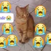 Eunice Fernandes - @user3252812297653 - TikTok