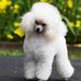 Eunice Fitzgerald - Facebook