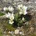 Eunice Fitzgerald - Facebook