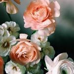 Eunice Foster - @eunice_foster802 - Instagram
