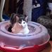 Eunice Fox - Facebook