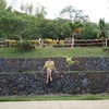 Eunice Francisco - @eunicefrancisco45 - TikTok