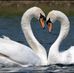 Eunice Gutierrez - Facebook