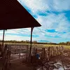 Euu 🤠 - @eunicegutierrez90 - TikTok