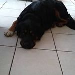 Eunice Harding - @harding12360 - Instagram