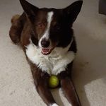 Eunice Harding - @euniceharding645 - Instagram