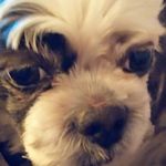 Eunice Harding - @hardingeunice - Instagram