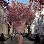 Eunice Jooyeon Yoon - @eunicejooyeon - Instagram