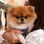 Eunice - @eunicekooks - Instagram