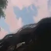 Eunice Miranda - @eunice.miranda3 - TikTok